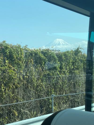 富士山の頭が見えました。