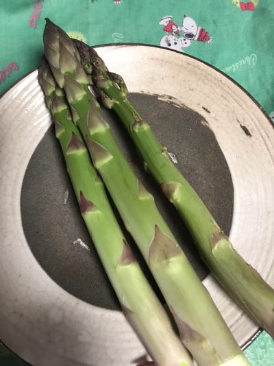 今年はアスパラが順調らしく、太くて瑞々しい。。美味しいですよ^^