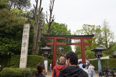 めったに乗らない千代田線で根津駅。不忍通りを北上して、神社入口の交差点を西へ。しばらくすると大行列です。どうやら、つつじ苑の入園行列らしい…こんなに人気とは、失礼ながら…<br /><br />やっと鳥居の前です。