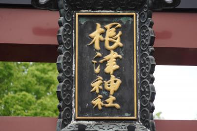 ゆっくり進みますので、ゆっくり鳥居の扁額なぞ。&quot;根&quot;の字に何かお住まい？