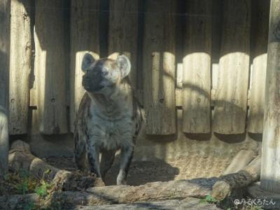 公園内に小動物園がありました
こちらも入場無料