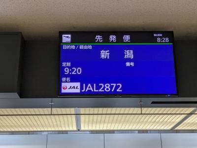 4月１８日（木）、ＪＡＬの新千歳空港発新潟行きは、9:20発です。
ほぼ定刻通りにtakeoff。