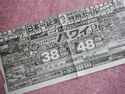 そんなことを考えたことも忘れたその年の12月末、新聞でこんな広告を発見。
ナニナニ、フライングホヌのプレエコでハワイへ行って、7日間で二人48万円とな。更に阪急交通社のホームページを見ると9日間コースもあり、二人58万円、燃油サーチャージ込み、ラウンジも使える。これは安い！　と即決で申し込んでしまいました。