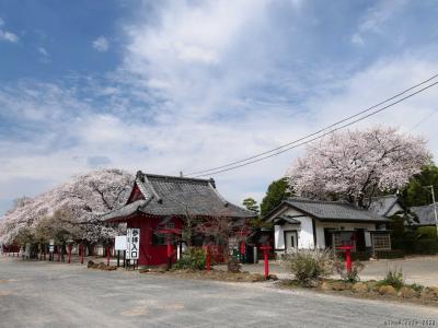 「大慶寺」は、太田市の西の端にあり、「県立新田暁高校」の南に隣接しています。<br /><br />太田市を東西に横切る県道２号線の、新田大根町交差点から、県道315号線を北へ500mほど走ると、左側に、赤い字で「ぼたん寺」と書かれた大きな立て看板があります。