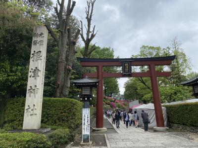 駅から10分弱で根津神社に到着。<br />奥にツツジが見えます。