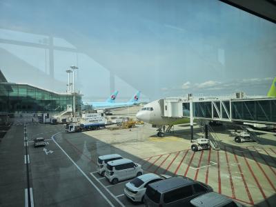 新しい職場の仲間とソウル旅行の始まりです。