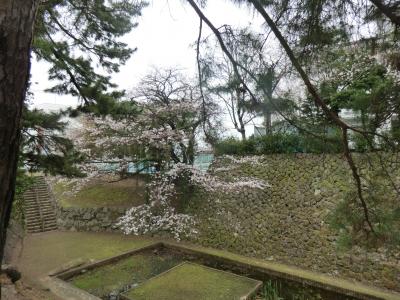 大分日出城跡、暘谷城と呼ばれる桜咲く城跡を散策<br />数年前一人で散策した場所。