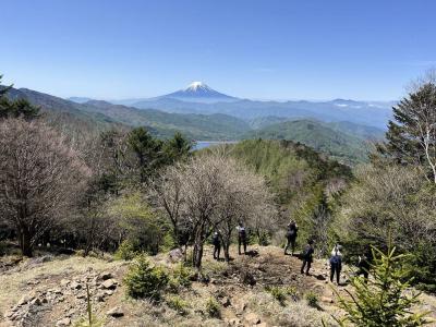 登山道途中からの富士山