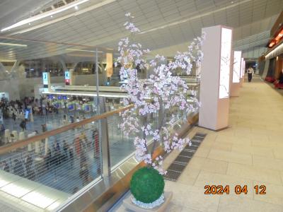4月に入り新生活も始まったばかり、GW前ということで羽田空港も空いている方です。