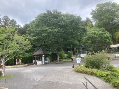 オギノパンから10分ほどで神奈川県立あいかわ公園到着。