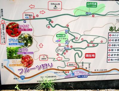 今回は芦ヶ久保から日向山に登り、六番峠を歩いて横瀬町にある寺坂棚田に向かいます。