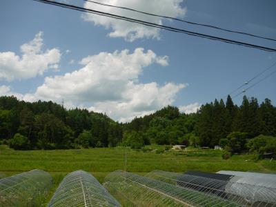 早めに行動したおかげで窓際席ゲット～♪<br />12：40高山駅発<br /><br />左に座ったんやけど、、、進行方向右の方が山がよく見えたかも。<br />左側は基本のどかなこんな景色。<br />