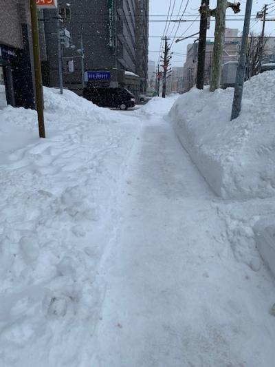 ベッセルホテルカンパーナすすきのホテルの玄関前はこの状態です。普段、一年中、積雪を見ることのない私にとってはとても綺麗に見えます。