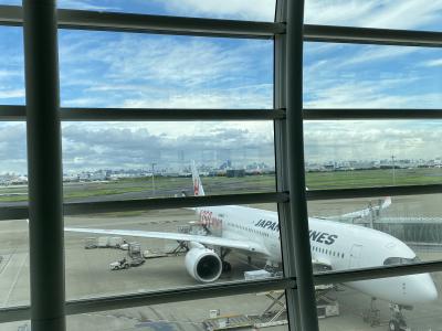 JALエアバスA350-1000。<br /><br />約１年前に、JALのマイルが貯まっていたので、ニューヨーク線ビジネスクラスとファーストクラスを発券。<br />当時は、行きも帰りも、ボーイング777-300ERの予約でした。<br /><br />特に、帰りのファーストクラスの便がA350-1000に決まったのは、結構最近だったと思います。<br /><br />なおマイルは、ビジネスが５万マイル、ファーストは未だ一律７万マイルの時でした。<br />今ですと、ファーストクラス片道、85000マイル（レギュラーシーズン）必要です。