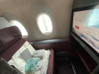 さて、こちらが行きのA350-1000「ビジネスクラス」。<br />行きは、昼便です。<br /><br />