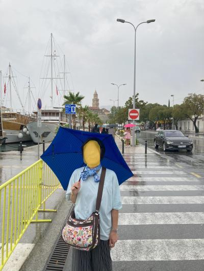 クルーズ船から旧市街まで、シャトルバスはなし。<br />15分ほど雨の中を歩きます