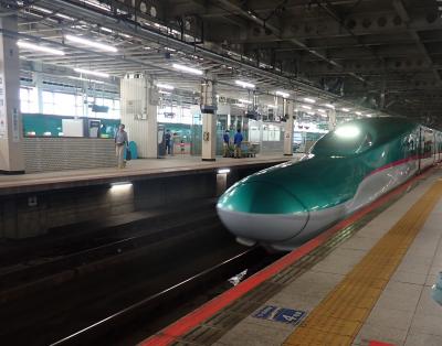 成田国際空港の集合時間はフライト時間の２時間前の１３：００です。<br />仙台８：５７発のはやぶさ８号で出発！