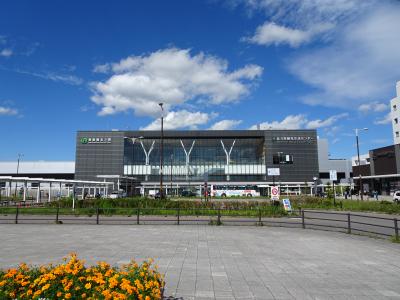 新幹線で6時間かけて新函館北斗駅に到着。始発は満席だったので、1時間ほど遅い便になりました。