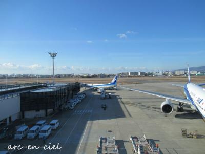 飛行機での移動