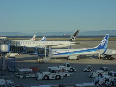 B737-800 に乗りました。NGO-NGS ANA371 機体番号JA79AN。』常滑 B737-800 に乗りました。NGO-NGS ANA371 機体番号JA79AN。』常滑