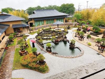 さいたま市大宮盆栽美術館