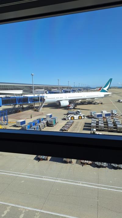 4月の運行はめずらしくB777-300。台湾へ帰国する方々で満席。