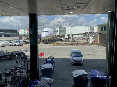 飛行機での移動