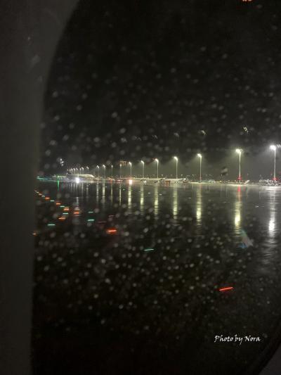 飛行機での移動