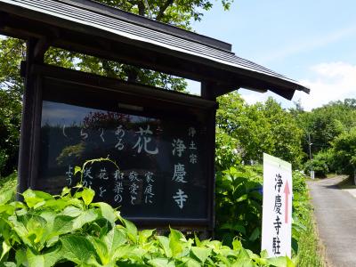 　淨慶寺の看板、ここを曲がるのね。