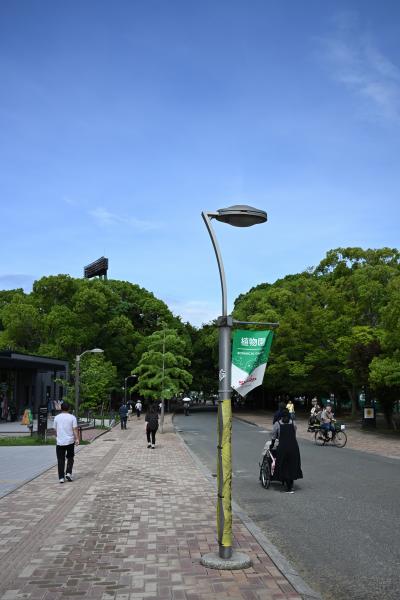 長居植物園は、陸上競技場の「ヤンマースタジアム長居」や、セレッソ大阪のホームスタジアム「ヨドコウ桜スタジアム」などがある長居公園の中に位置しています。
