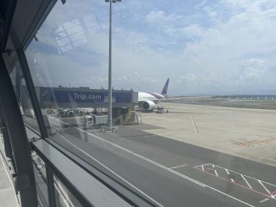 2025年夏は暑すぎる日本を離れてスイスへ逃避行！！<br /><br />のはずですが、タイ航空でバンコク経由、バンコクで9.5時間乗り継ぎの便で向かいますので、まずは日本と同じく暑いバンコクへ。<br />乗り継ぎ時間含めて27時間の大移動です。
