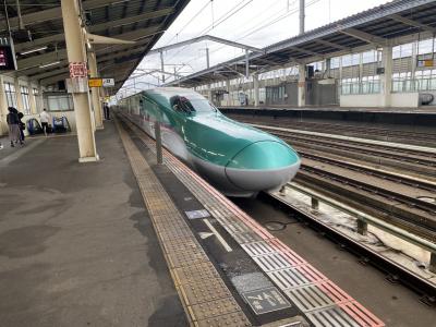 東北新幹線