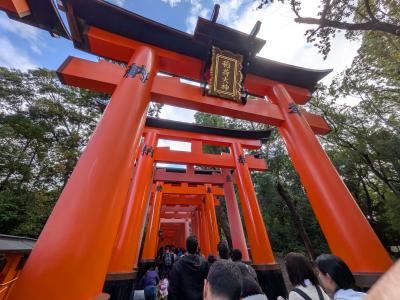 千本鳥居、行ってみましょう。