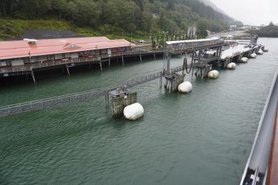 トゥウィステッド フィッシュ カンパニー