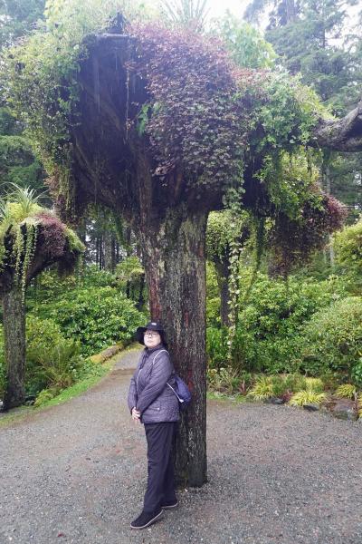 メンデンホール氷河