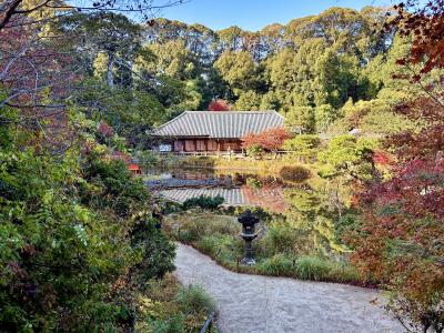 薬師如来のおられる此岸（しがん）・東方浄土（浄瑠璃浄土）から，阿弥陀如来のおられる彼岸・西方浄土（極楽浄土）を望み，拝んでいます。

西方浄土（極楽浄土）の教主である阿弥陀如来は，私たちに死が訪れたとき，来世の理想郷へと迎え入れてくれる来迎仏（らいごうぶつ）です。

もし，池の向こうのお堂の板扉が開けられていれば，人々は三重塔の下に立ち，来迎する阿弥陀仏のお姿を直接（あるいは水面に映ったお姿を間接的に）目にすることができた筈です。

1052年（釈迦入滅を紀元前949年とする説による），世は末法に入り（末法思想），人々は来世において極楽浄土に往生することを願うようになります。宇治には，阿弥陀堂である「平等院鳳凰堂」が建立されました。遠く国東半島の「富貴寺大堂」は，平安後期における阿弥陀堂建築の全国的分布を示す好例です。
https://4travel.jp/travelogue/11333899
人々は東（此岸）の薬師如来に現世の救済を願い，西（彼岸）の阿弥陀如来に来迎を願ったのです。