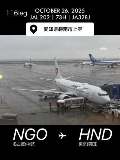 飛行機での移動