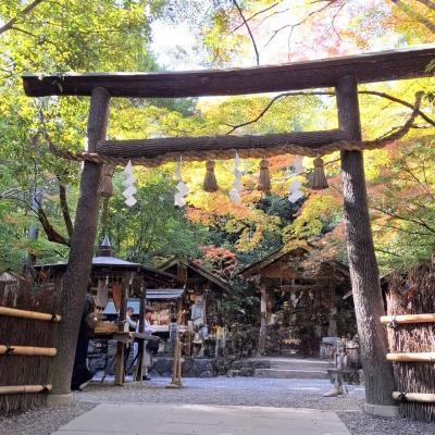 『野宮神社』黒木鳥居
竹林に包まれた源氏物語ゆかりの古社
黒木は皮を剥かず、クヌギの原木をそのまま使用していて日本最古の鳥居の様式
