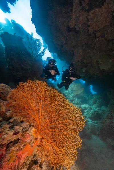 一年中、太陽に愛される場所<br /><br />全長7,000kmもの海岸線に、無数の島々が点在<br />そこには、世界七大自然の驚異のひとつ・グレートバリアリーフが広がる<br /><br />シュノーケリング、サーフィン、ホエールウォッチング、カヤック…<br />どれも「人生で一度は体験したい」と思えるアクティビティばかり