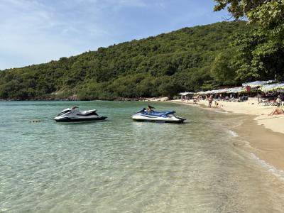 モンキービーチ