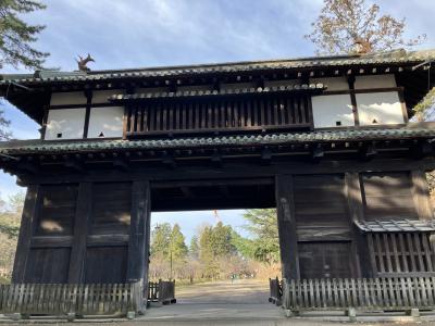 弘前公園 (弘前城)