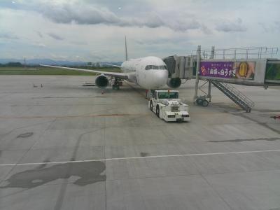 米子鬼太郎空港 (米子空港)