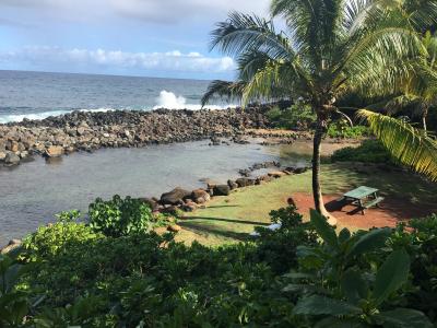 ケオケア ビーチ パーク