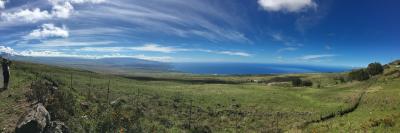 コハラ マウンテン ロード