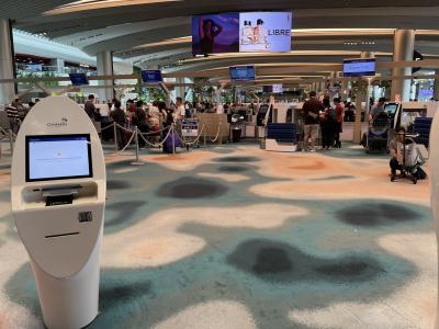 シンガポール チャンギ国際空港 (SIN)