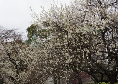 東京国立博物館