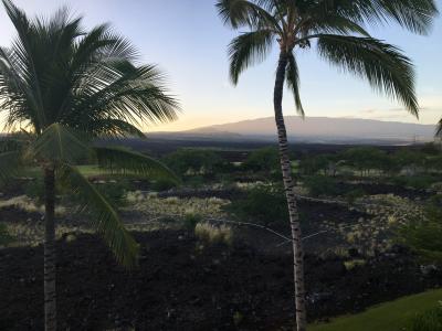 ヒルトン グランド バケーションズ クラブ キングス ランド ワイコロア
