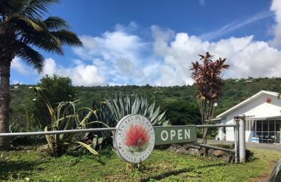 ビッグ アイランド  ビーズ