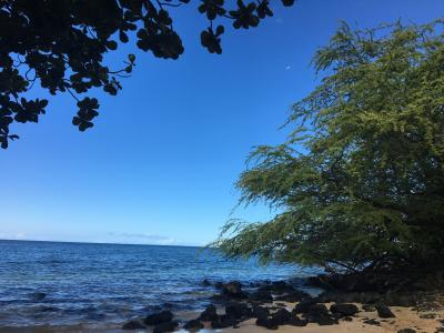 スペンサー ビーチ パーク