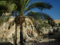 エルサレム　嘆きの壁